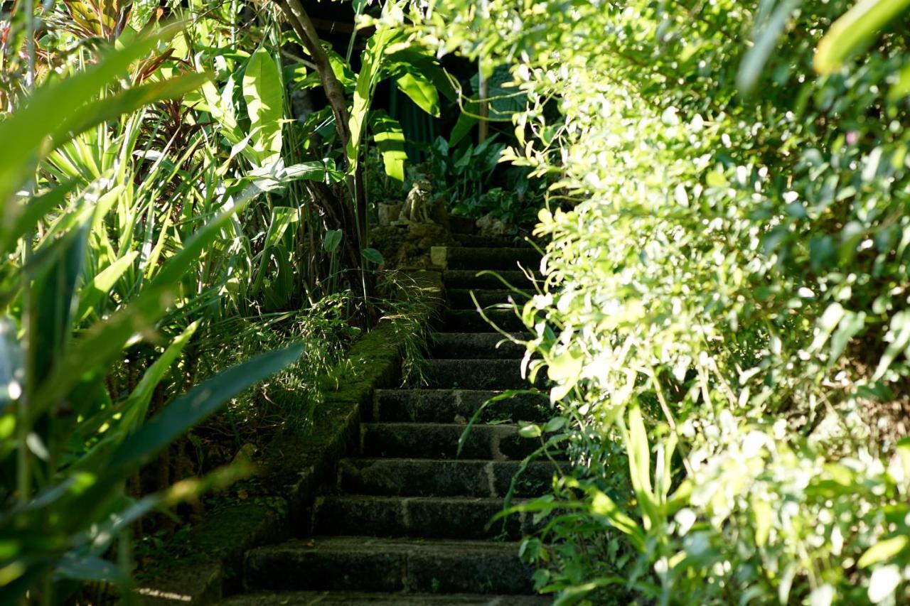 Sachiibaru Villa